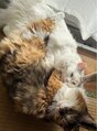 ラシル 都城店(racil)&nbsp;女の子の猫2匹飼ってます！