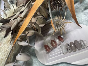 定額シンプルコースのデザイン