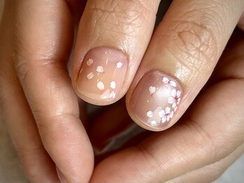 定額デザイン煌 ¥11,000