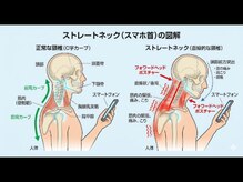 サザンベル(Southern Belle)/
