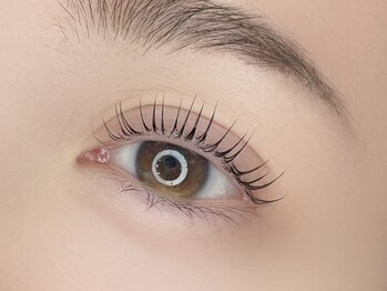 ミヤビ 勝どき(MIYABI)の写真/【まつ毛パーマ】たった60分で毎朝が変わります!