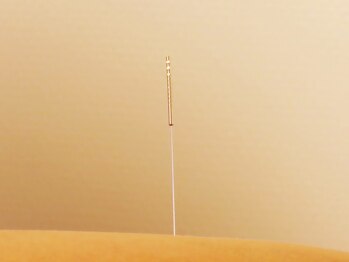 休進堂/髪の毛ほどの細さです♪