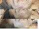 ココネイル(coconail)の写真