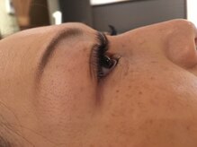 メイクスペース ミキ(MAKE SPACE MIKI)/5Dボリュームラッシュ 500本