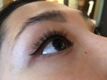 メイクスペース ミキ(MAKE SPACE MIKI)/5Dボリュームラッシュ 500本