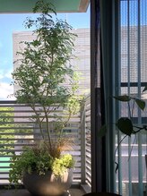 デトックスサロン クニコ(Kunico)/