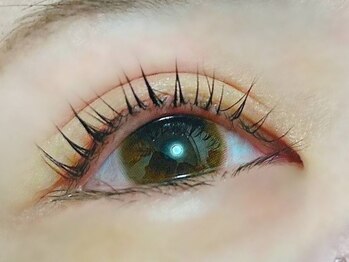 トゥルース 桜木(Truth)/ラッシュリフト