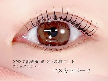 シルミー(CILL3)の写真