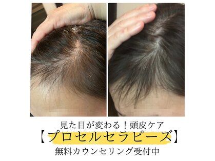 シャラ(shara)の写真