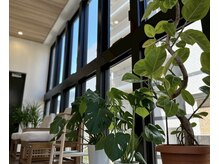 ビューティースタジオ フク(beauty studio fuku)の雰囲気（福岡希少!エレクトロハンド!オールハンドで引き締め♪痩身/小顔）