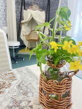 マシュマロハンド/よもぎ蒸し/冷え/むくみ改善