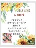 月末限定　　¥5,500