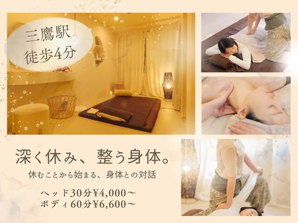 プリューム(plume)の写真