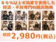 高槻宗八鍼灸整骨院の写真