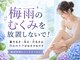 プララ(Plala)の写真