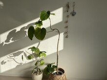 ルシェル(Le.ciel)/エントランス