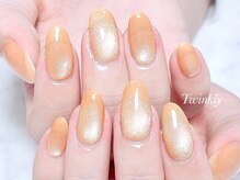 トゥインクリーネイルサロン(Twinkly Nail Salon)/マグネットネイル1カラー