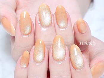 トゥインクリーネイルサロン(Twinkly Nail Salon)/マグネットネイル1カラー