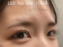 エオン アイラッシュ(eon.eyelash)/LED フラットラッシュ100本