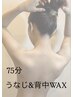【新規セットクーポン】うなじ&背中WAX/ WAXのみで即仕上げ/背面即ツル