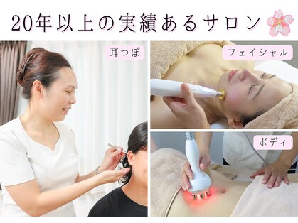 JCK 桜の写真