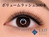 【LEDエクステ】ボリュームラッシュ500本　¥13,900