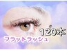 【新規】フラットラッシュ120本