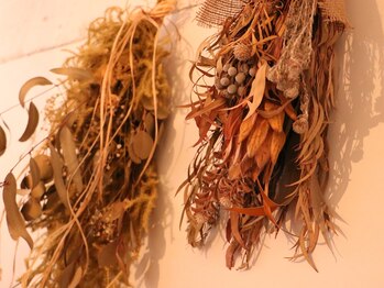 ズーズー バイ アニマ(Zzz By ANIMA)/