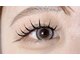 アリエル アネックス(Ariel'u annex)の写真