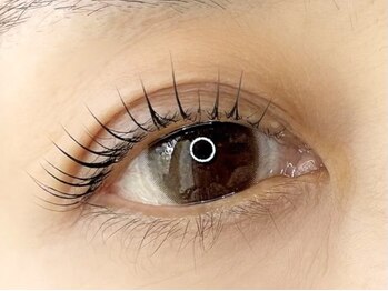 ケイラッシュ(K-LASH)/マツエクからラッシュリフトへ♪