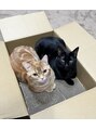 ヘッドミント 南越谷店&nbsp;爪研ぎとダンボールが大好きな2匹です♪