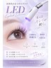【LED初めてクーポン】フラットマットラッシュ180本※付け足し不可