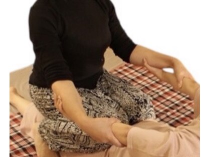 ロサ ケンティフォリア(Rosa centifolia)の写真