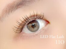 メルティ(melty)/LED フラットラッシュ110本