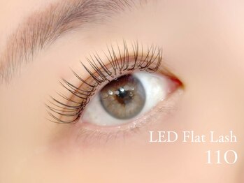 メルティ(melty)/LED フラットラッシュ110本