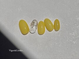 シンプルコース