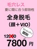 レディース全身脱毛(顔・VIO込み)10000→7800円　先着5名様　毎月通える