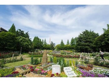 ヒュッゲサロン(HYGGE Salon)/【靭公園からすぐ】西区・京町堀