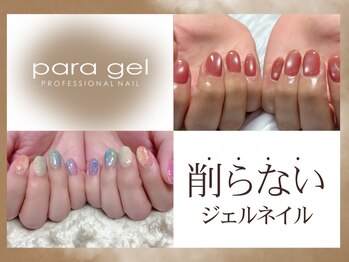 アポロランド ルーナ