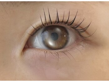 ビアン(Bean.)/まつげパーマ