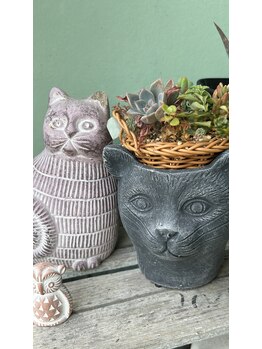 マシュマロハンド/肩こり/冷え/むくみ改善