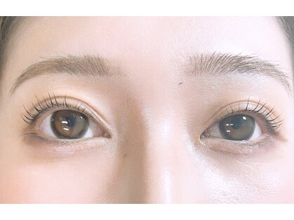 ファボ(FAVO)の写真