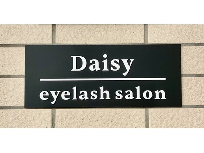 デイジー(Daisy)の写真