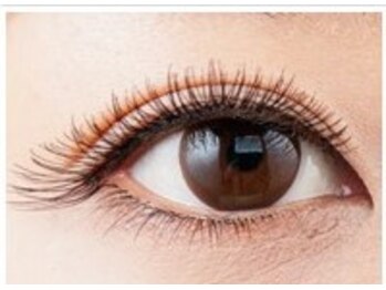 ミューズ(MUSE)/キャメル(選べるデザイン)