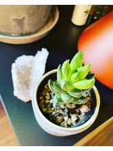 チェッコリ(CHECCOLY)/セラピストの好きなもの『植物』