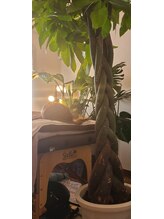 パンダママ(PandaMama)/アロマリンパマッサージ