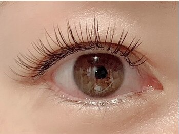 カラン 焼津店(CALIN)/フラットラッシュ120本