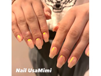 ネイル ウサミミ(Nail UsaMimi)/オーロラネイル