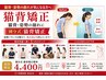 【猫背矯正】猫背・姿勢の崩れに｜國分式猫背矯正