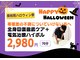ほねキング 南柏駅前整体院の写真